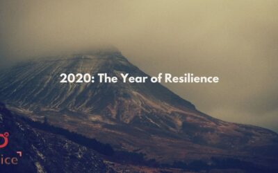 Learning from 2020 : The Year of Resilience